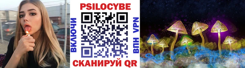 где купить наркоту kraken как войти Галлюциногенные грибы Cubensis Сегежа